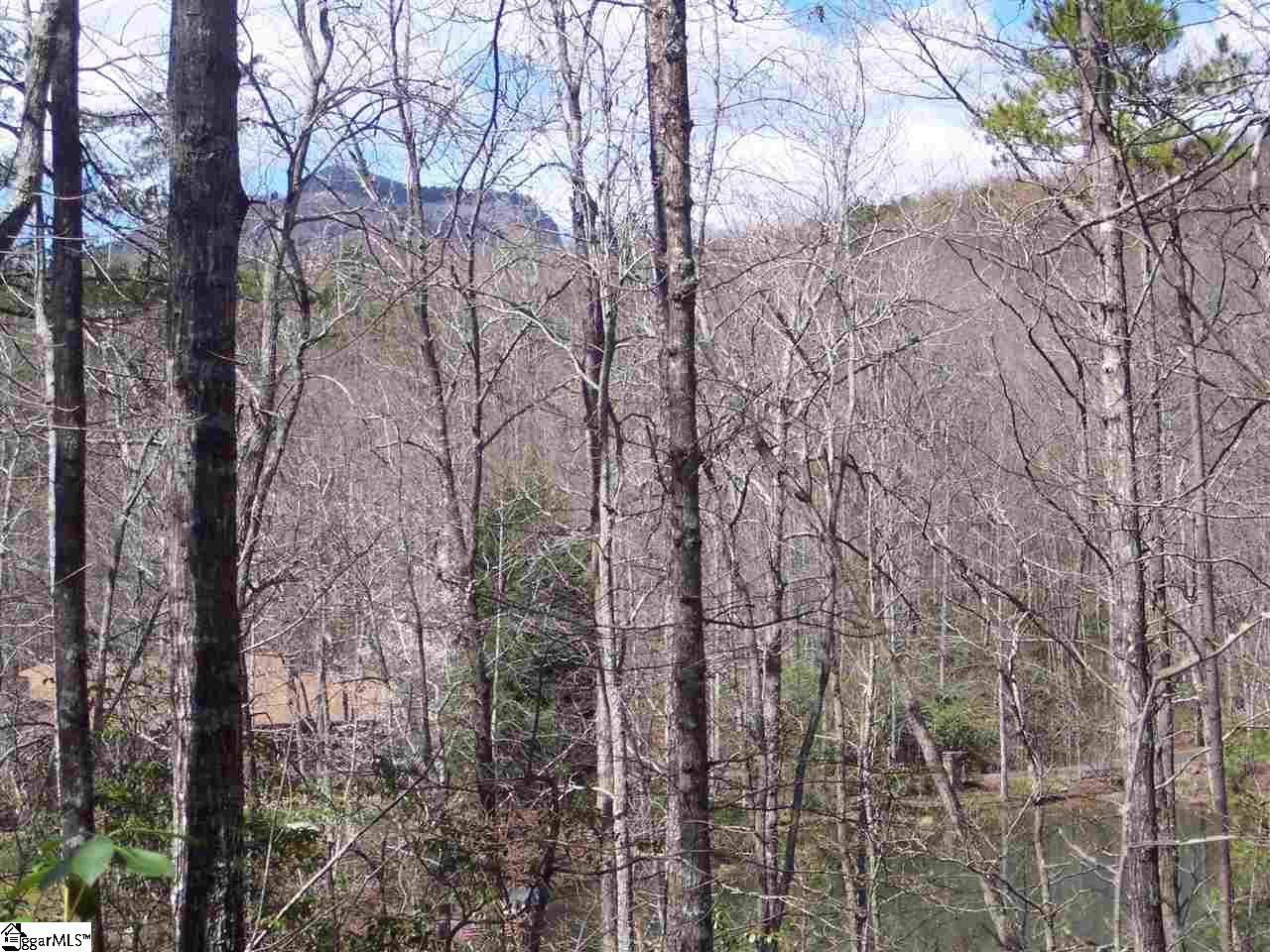 0 Bluff Ridge Road, Unit LOT 8A BLUFF RIDGE RD Cleveland, SC 29635 - Photo 22 of 33