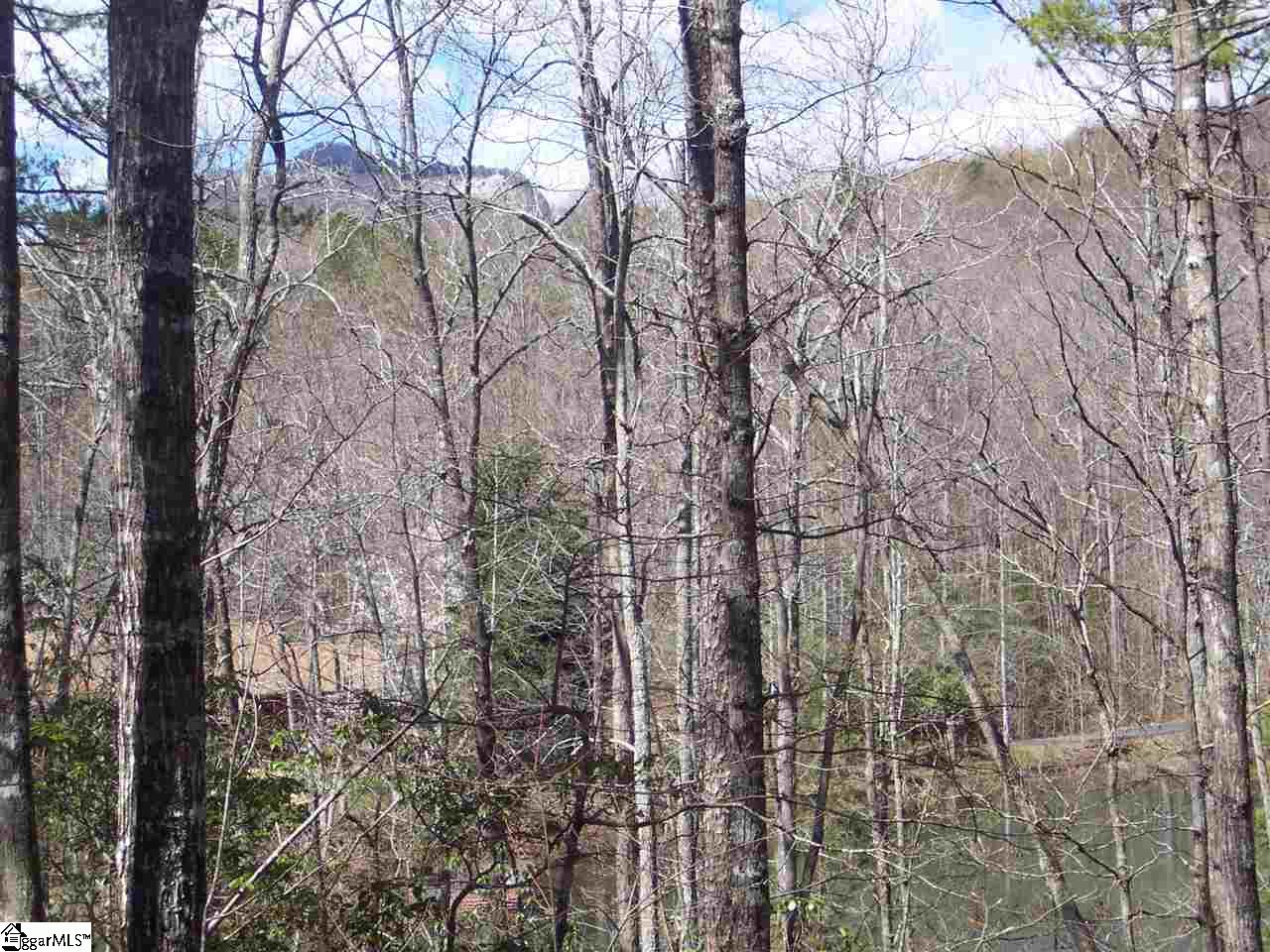 0 Bluff Ridge Road, Unit LOT 8A BLUFF RIDGE RD Cleveland, SC 29635 - Photo 23 of 33