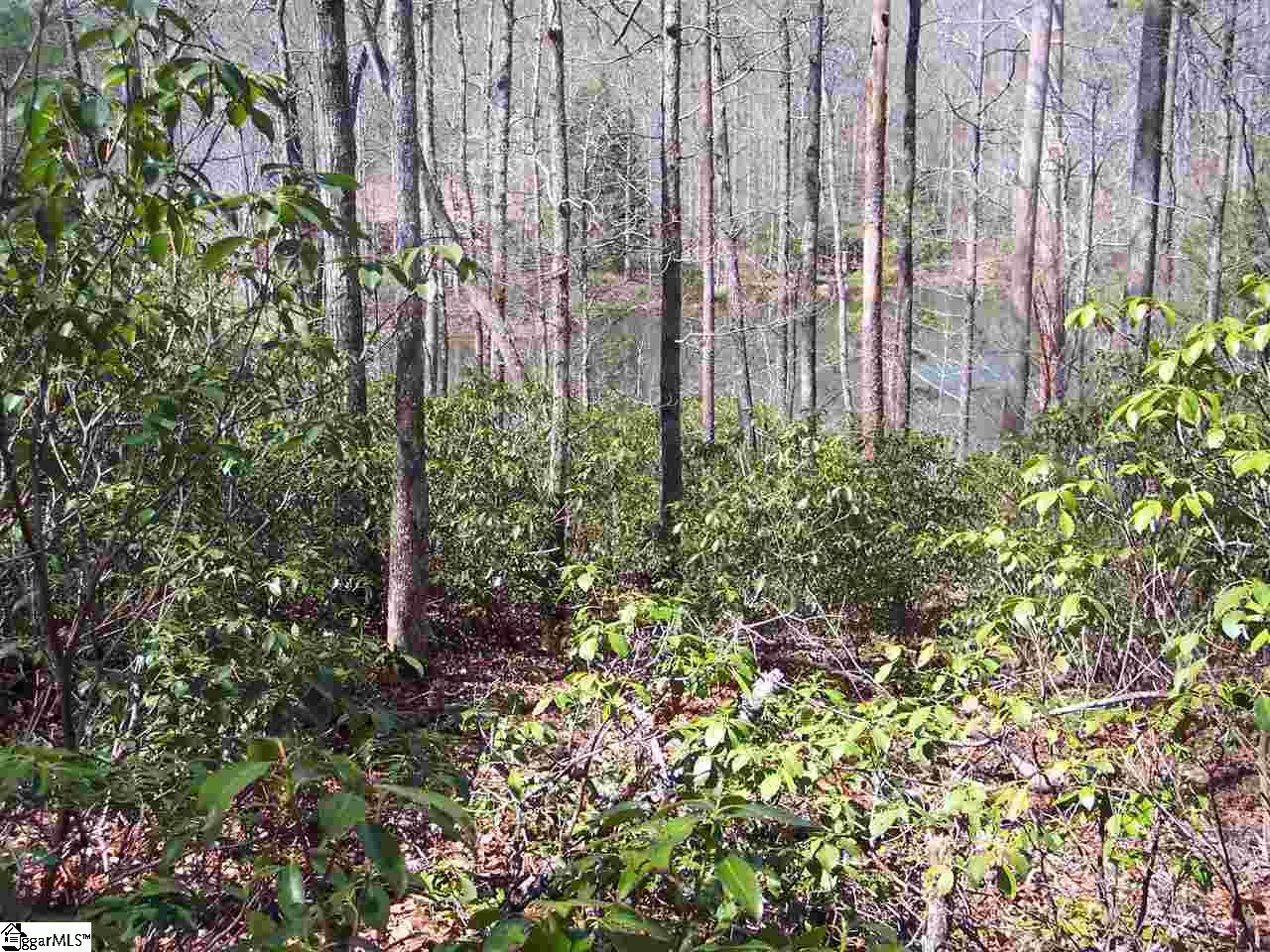 0 Bluff Ridge Road, Unit LOT 8A BLUFF RIDGE RD Cleveland, SC 29635 - Photo 24 of 33