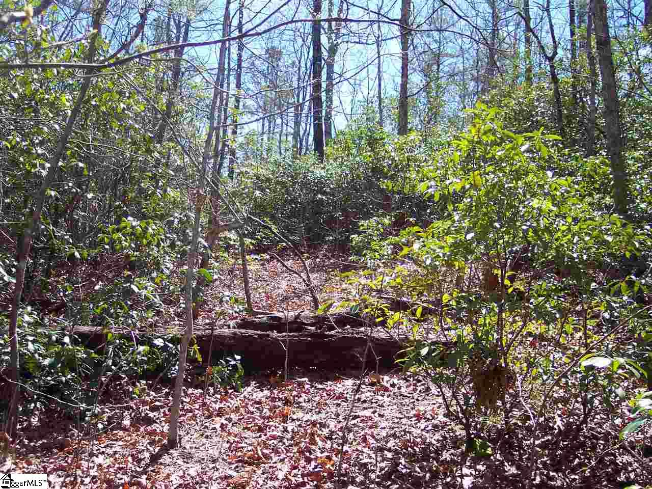 0 Bluff Ridge Road, Unit LOT 8A BLUFF RIDGE RD Cleveland, SC 29635 - Photo 26 of 33