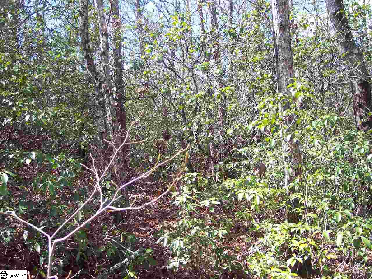 0 Bluff Ridge Road, Unit LOT 8A BLUFF RIDGE RD Cleveland, SC 29635 - Photo 27 of 33