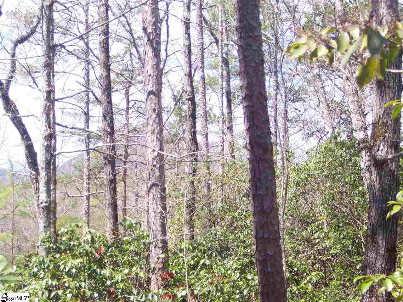 0 Bluff Ridge Road, Unit LOT 8A BLUFF RIDGE RD Cleveland, SC 29635 - Photo 29 of 33