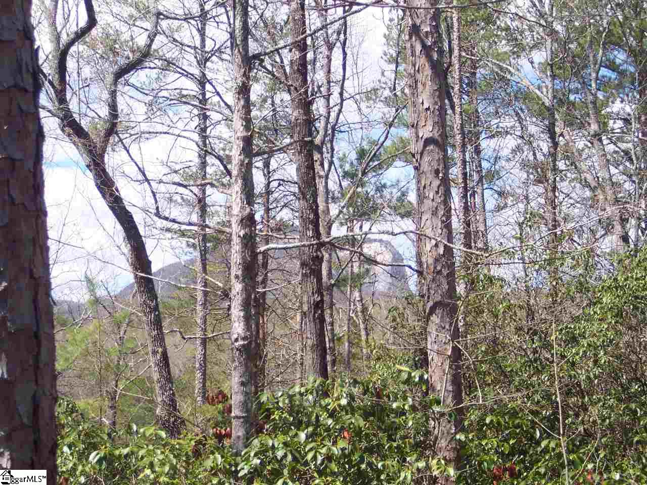 0 Bluff Ridge Road, Unit LOT 8A BLUFF RIDGE RD Cleveland, SC 29635 - Photo 30 of 33