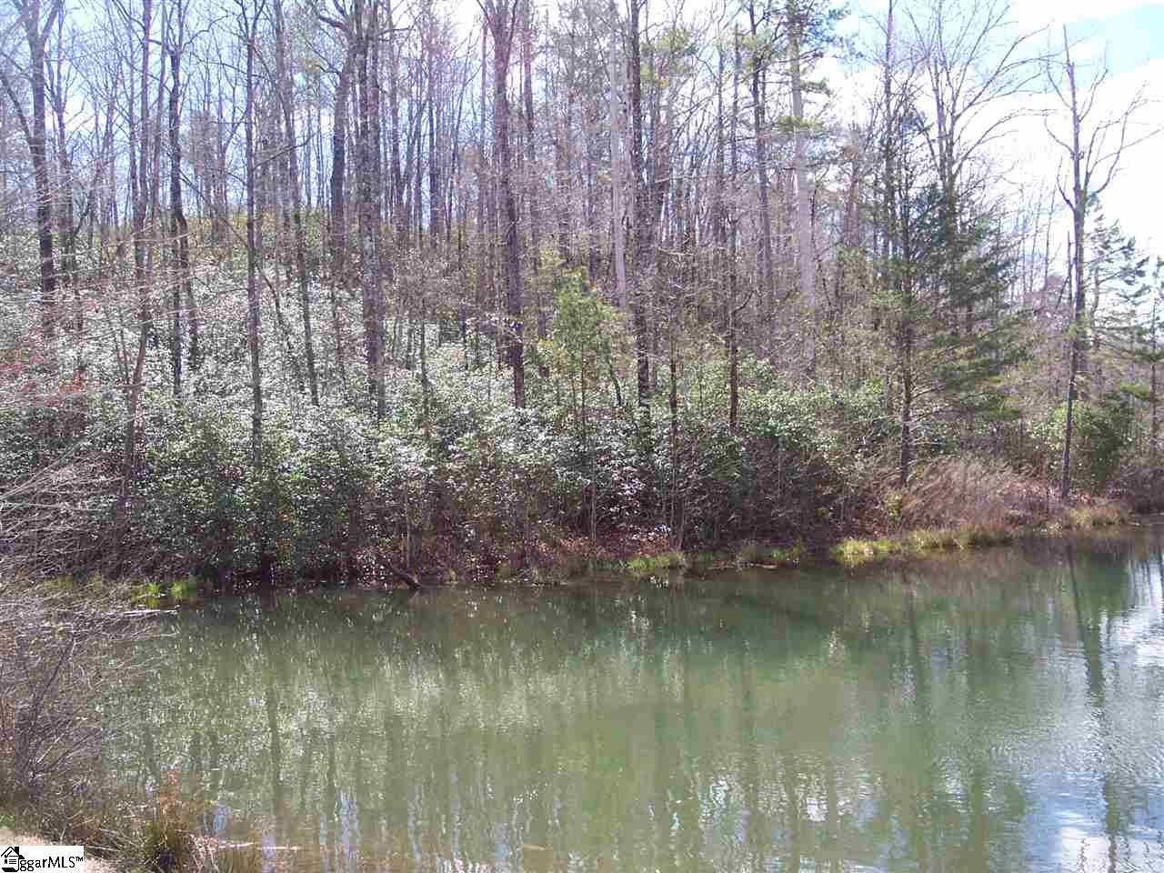 0 Bluff Ridge Road, Unit LOT 8A BLUFF RIDGE RD Cleveland, SC 29635 - Photo 4 of 33