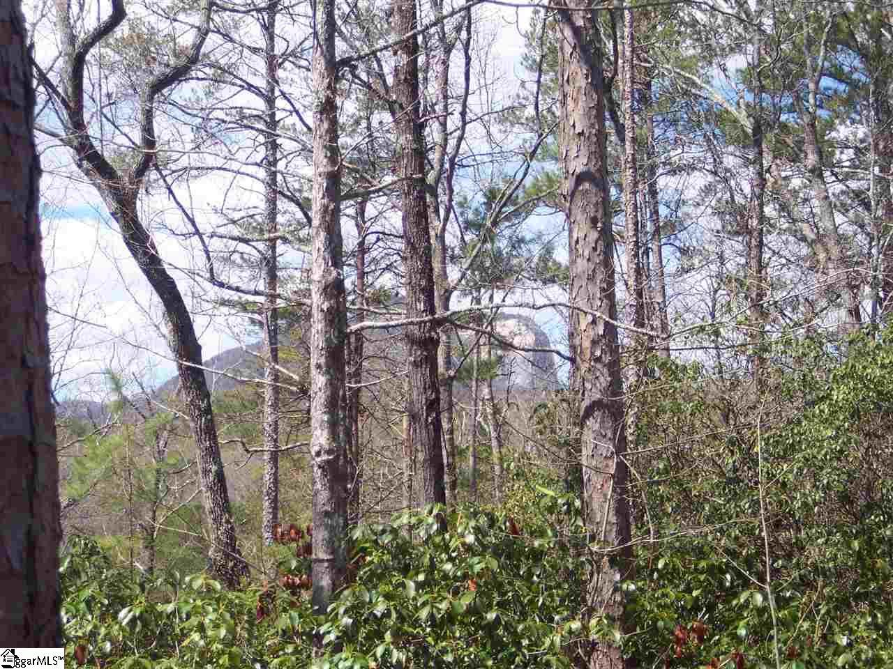 0 Bluff Ridge Road, Unit LOT 8A BLUFF RIDGE RD Cleveland, SC 29635 - Photo 31 of 33