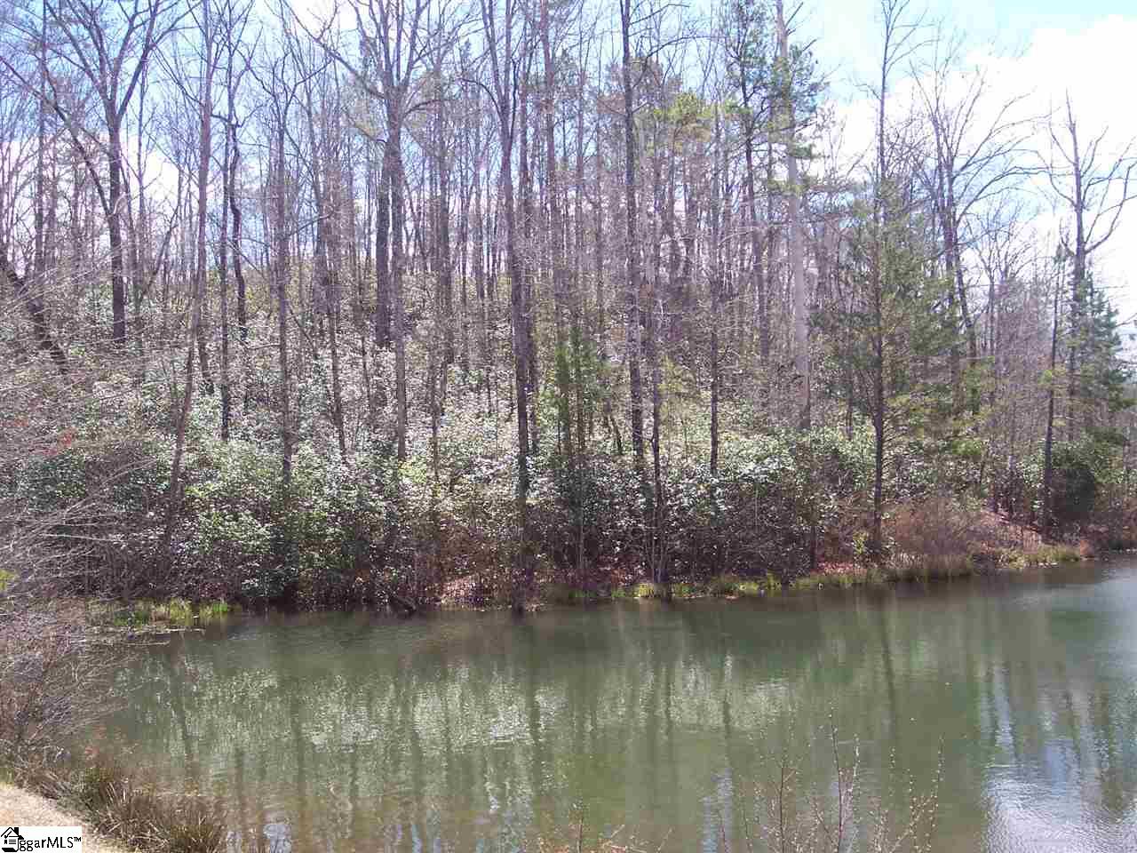 0 Bluff Ridge Road, Unit LOT 8A BLUFF RIDGE RD Cleveland, SC 29635 - Photo 33 of 33