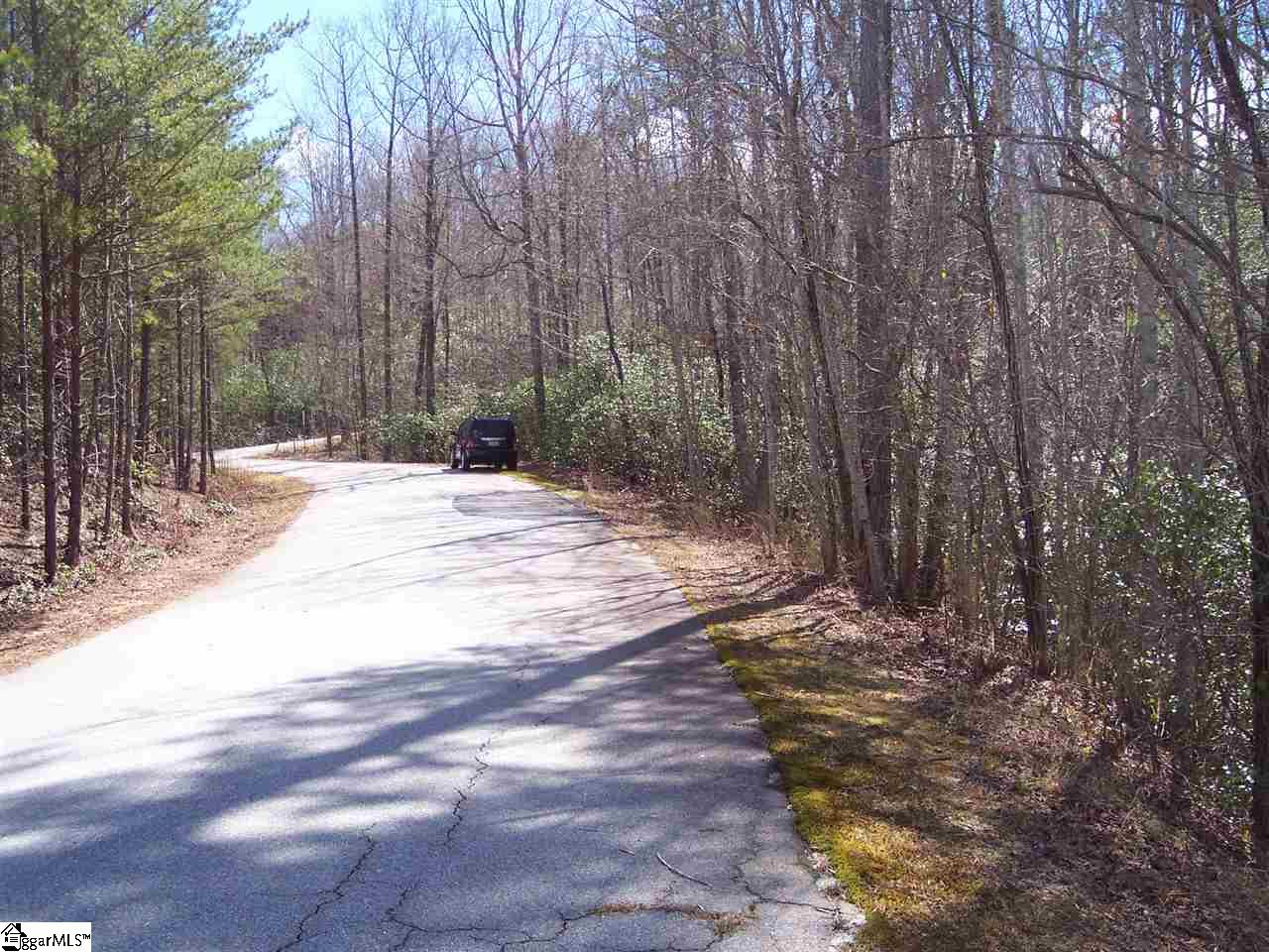 0 Bluff Ridge Road, Unit LOT 8A BLUFF RIDGE RD Cleveland, SC 29635 - Photo 5 of 33