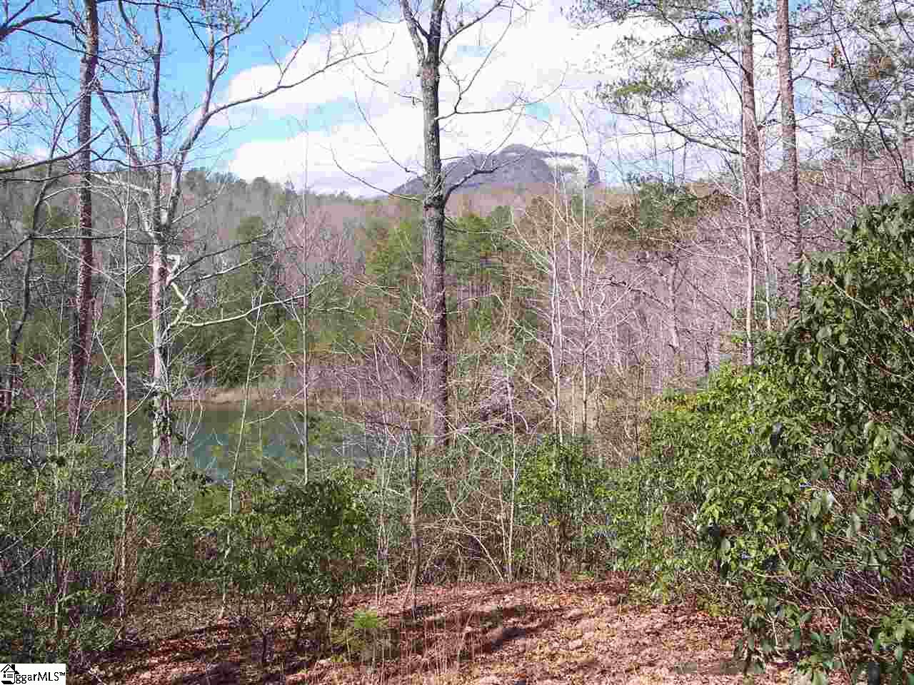 0 Bluff Ridge Road, Unit LOT 8A BLUFF RIDGE RD Cleveland, SC 29635 - Photo 6 of 33