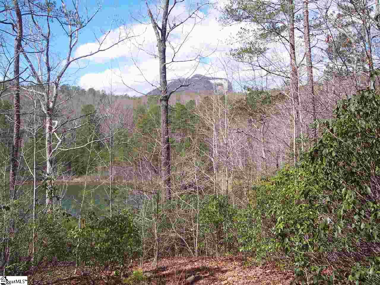 0 Bluff Ridge Road, Unit LOT 8A BLUFF RIDGE RD Cleveland, SC 29635 - Photo 7 of 33