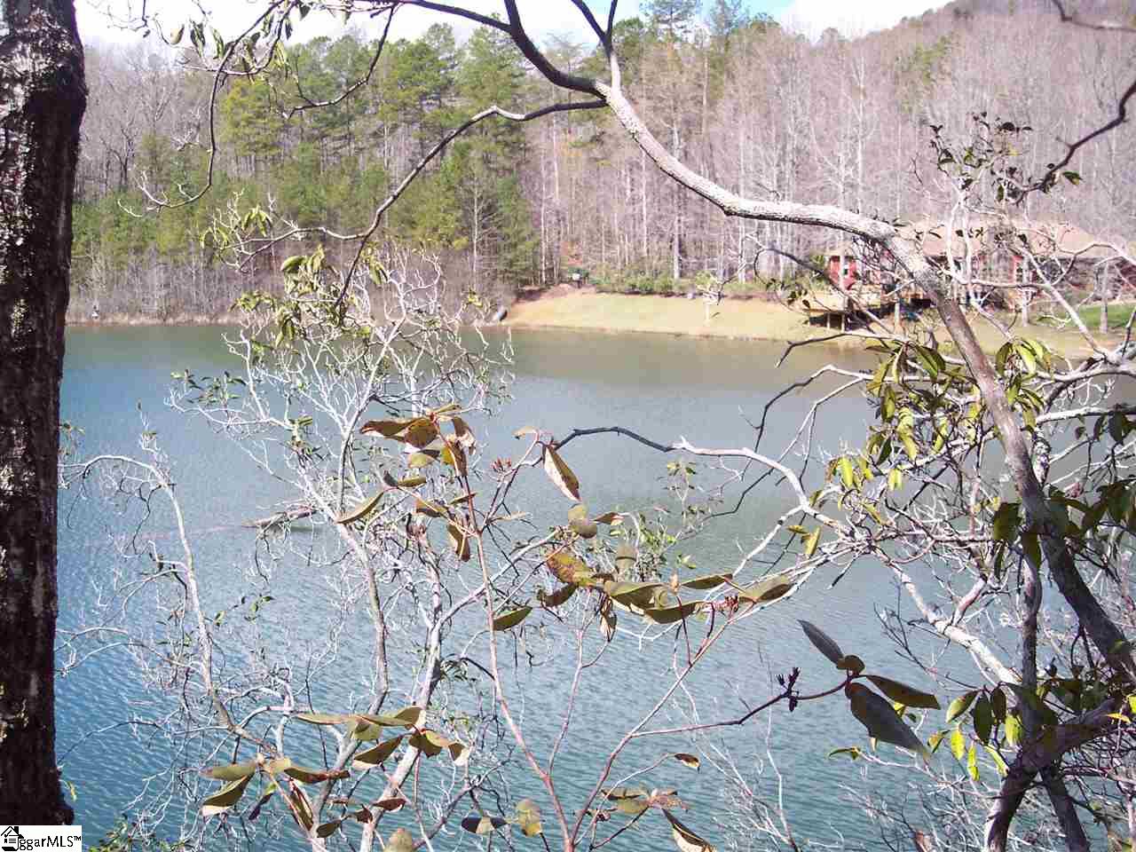 0 Bluff Ridge Road, Unit LOT 8A BLUFF RIDGE RD Cleveland, SC 29635 - Photo 10 of 33