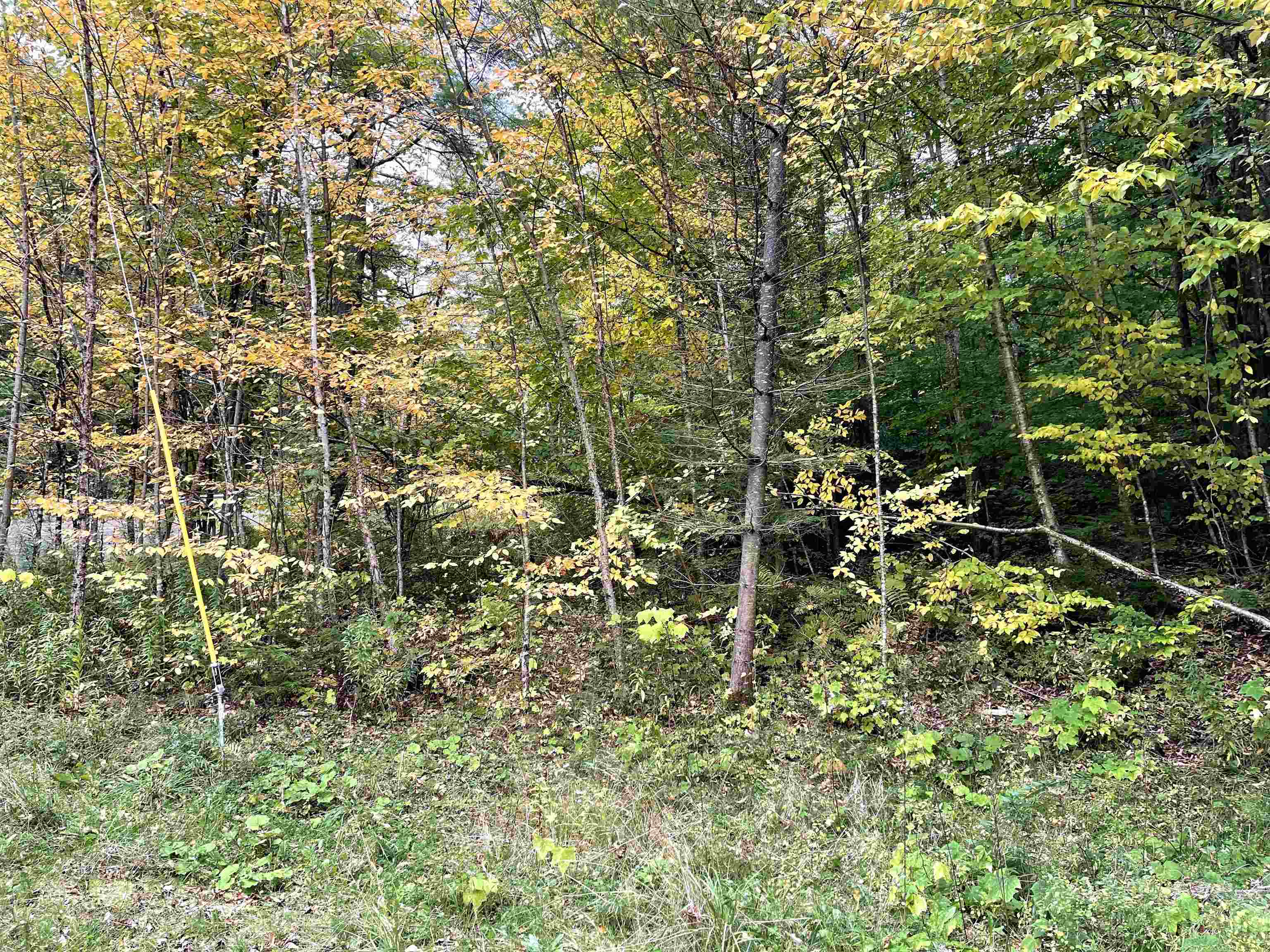 4905 Big Hollow Road Starksboro, VT 05487 - Photo 35 of 40 Gallery Image 35