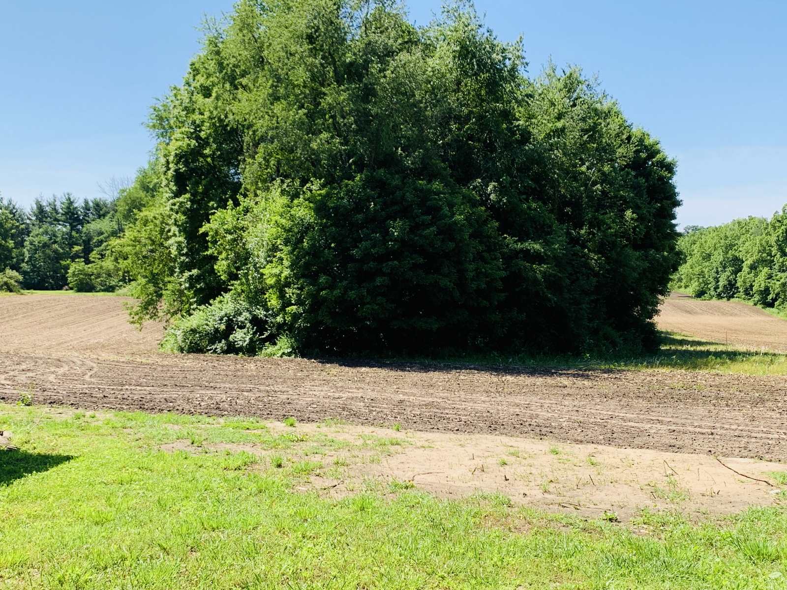 22100 Madison Road South Bend, IN 46614 - Photo 26 of 33