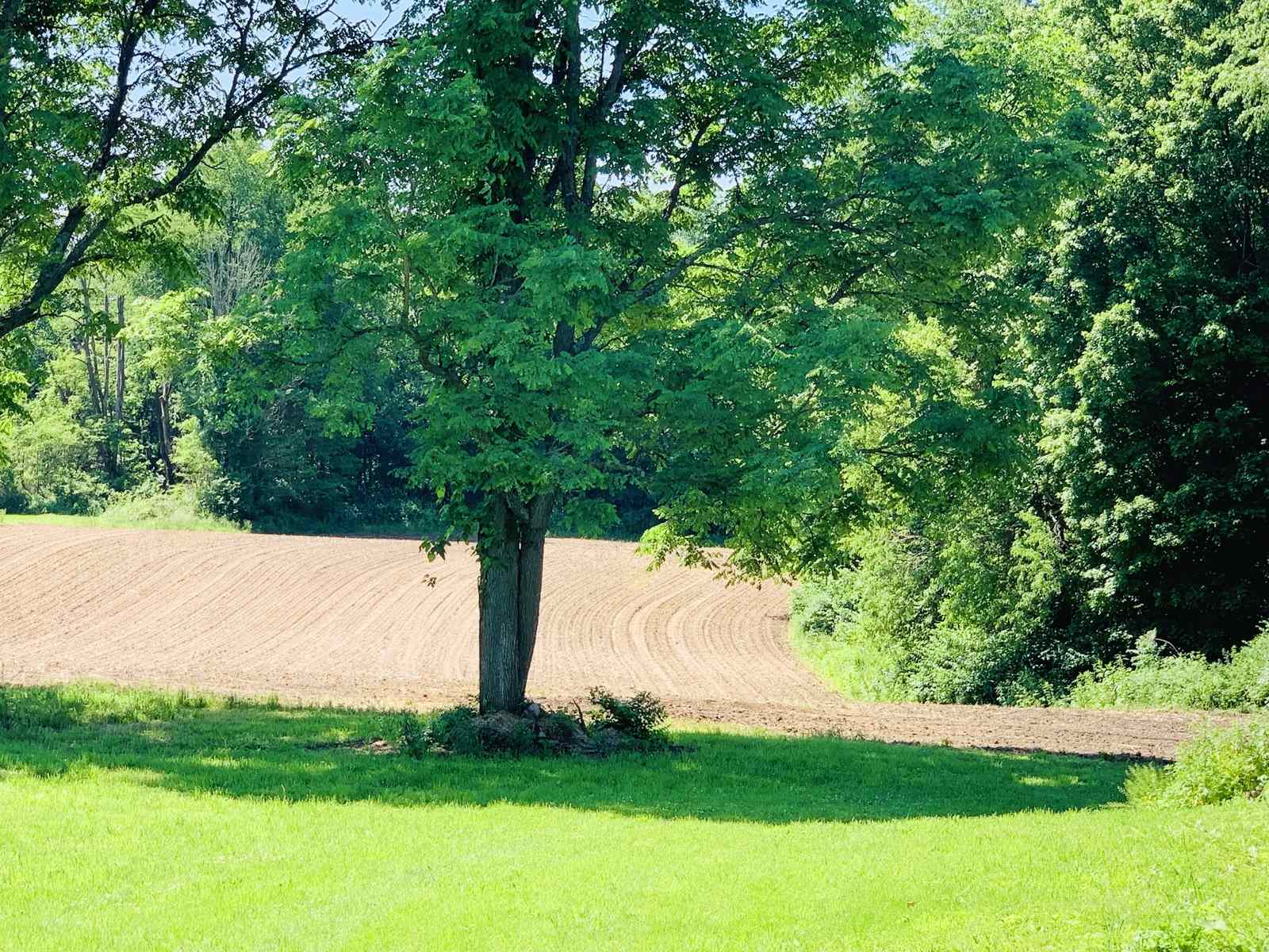 22100 Madison Road South Bend, IN 46614 - Photo 33 of 33
