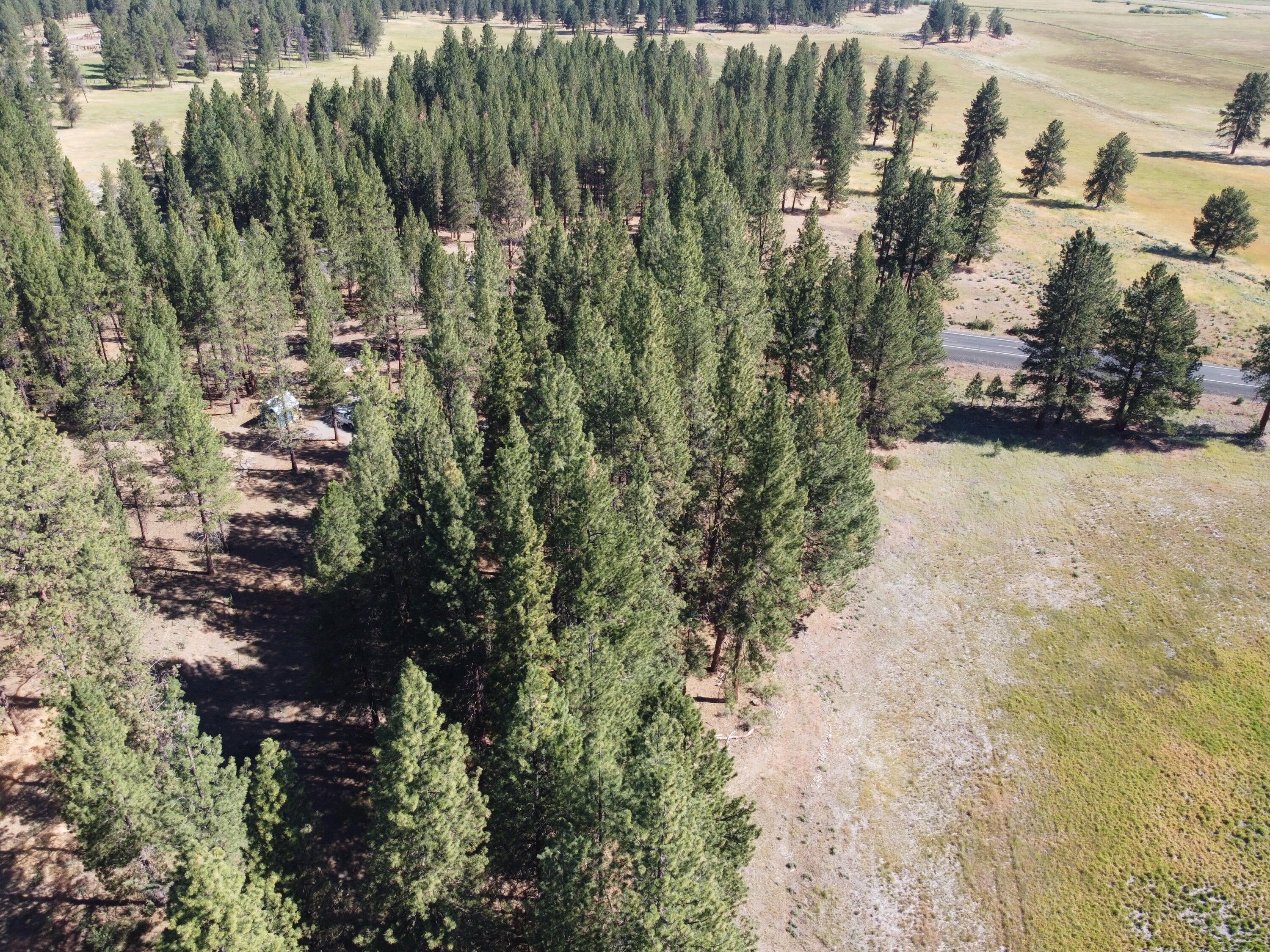 10130 Sprague River Road Chiloquin, OR 97624 - Photo 31 of 32 North arial of timber