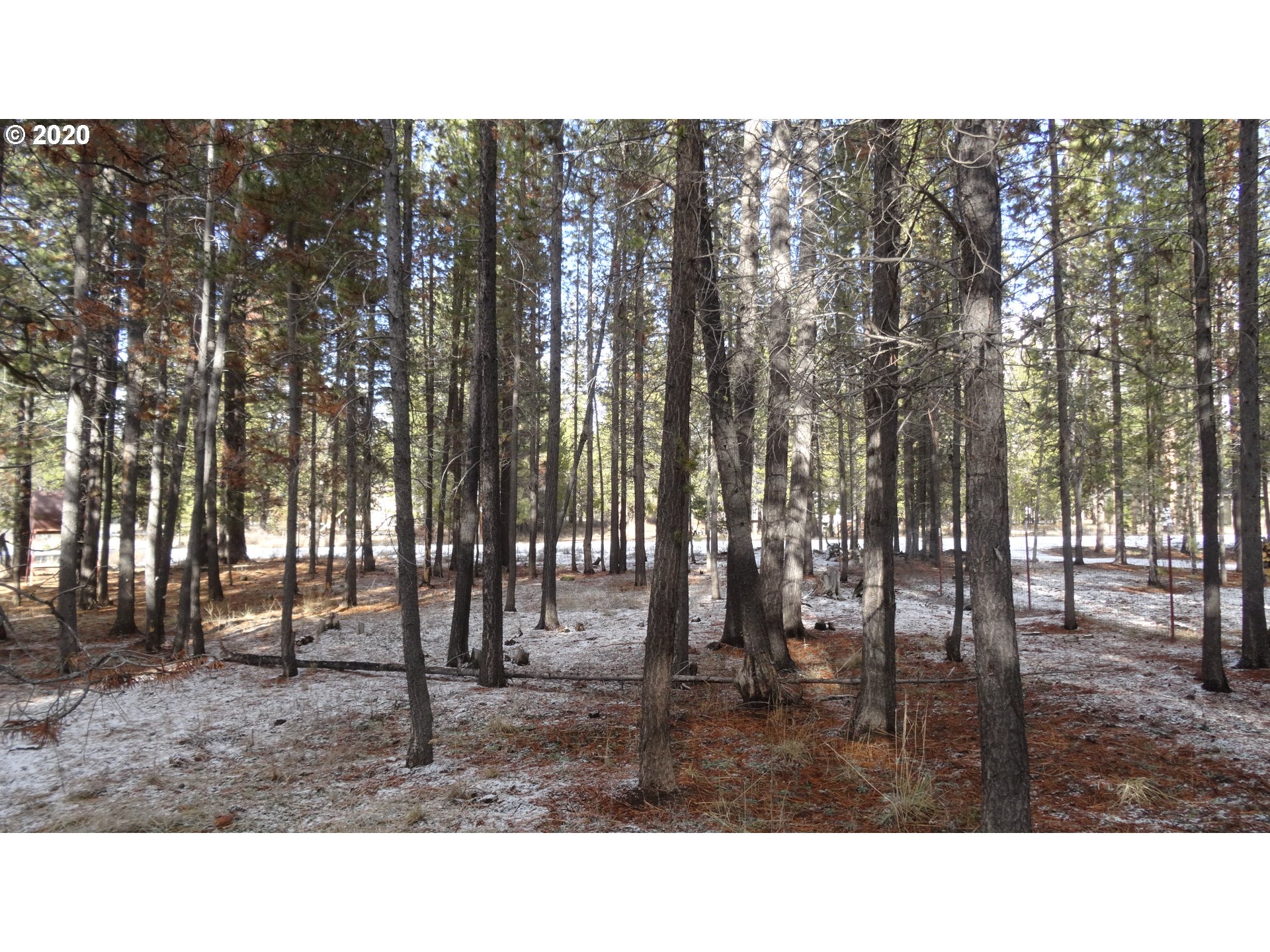 52568 Ammon Road La Pine, OR 97739 - Photo 14 of 23
