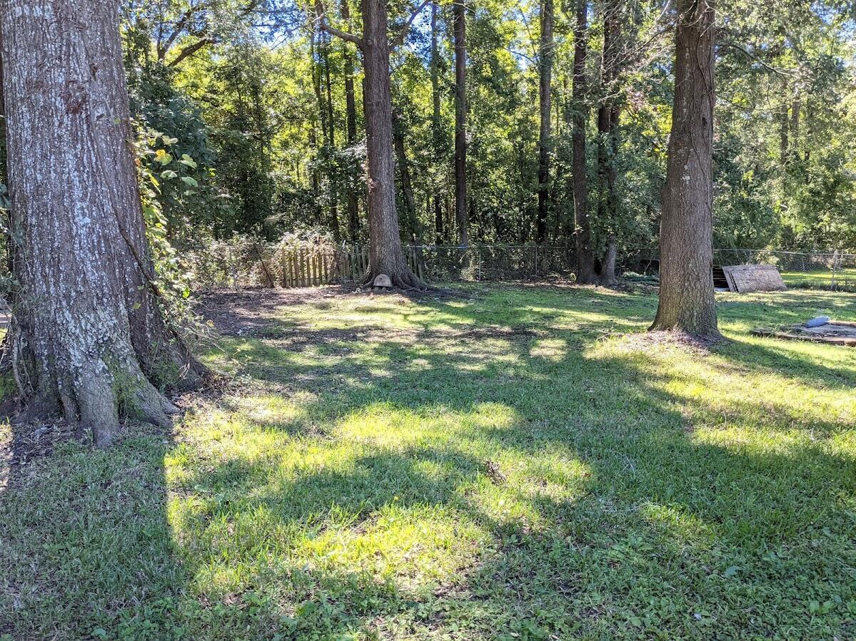 141 Rosedale Avenue Goose Creek, SC 29445 - Photo 2 of 22 Backyard