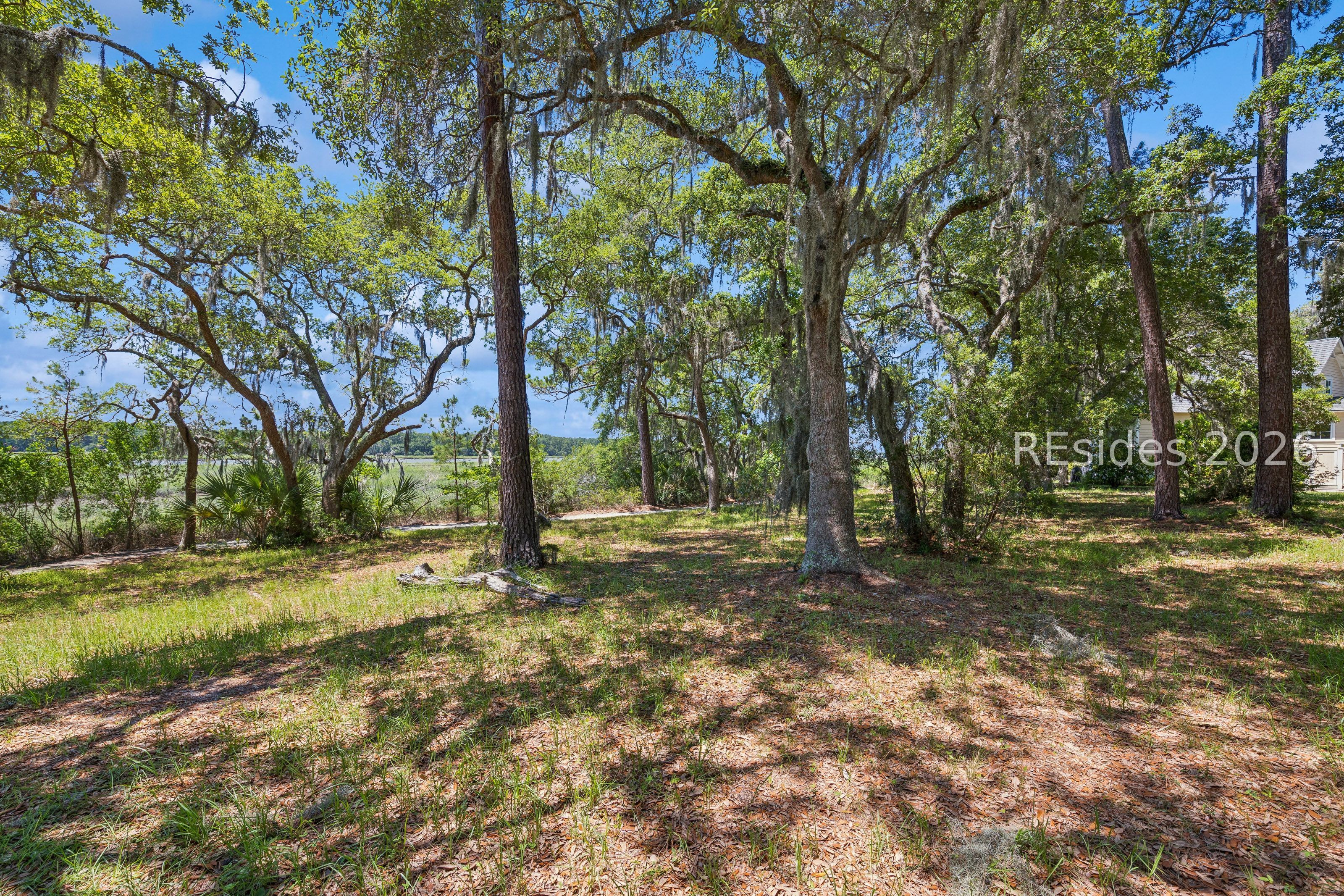 8 Pinckney View Circle Bluffton, SC 29909 - Photo 14 of 29