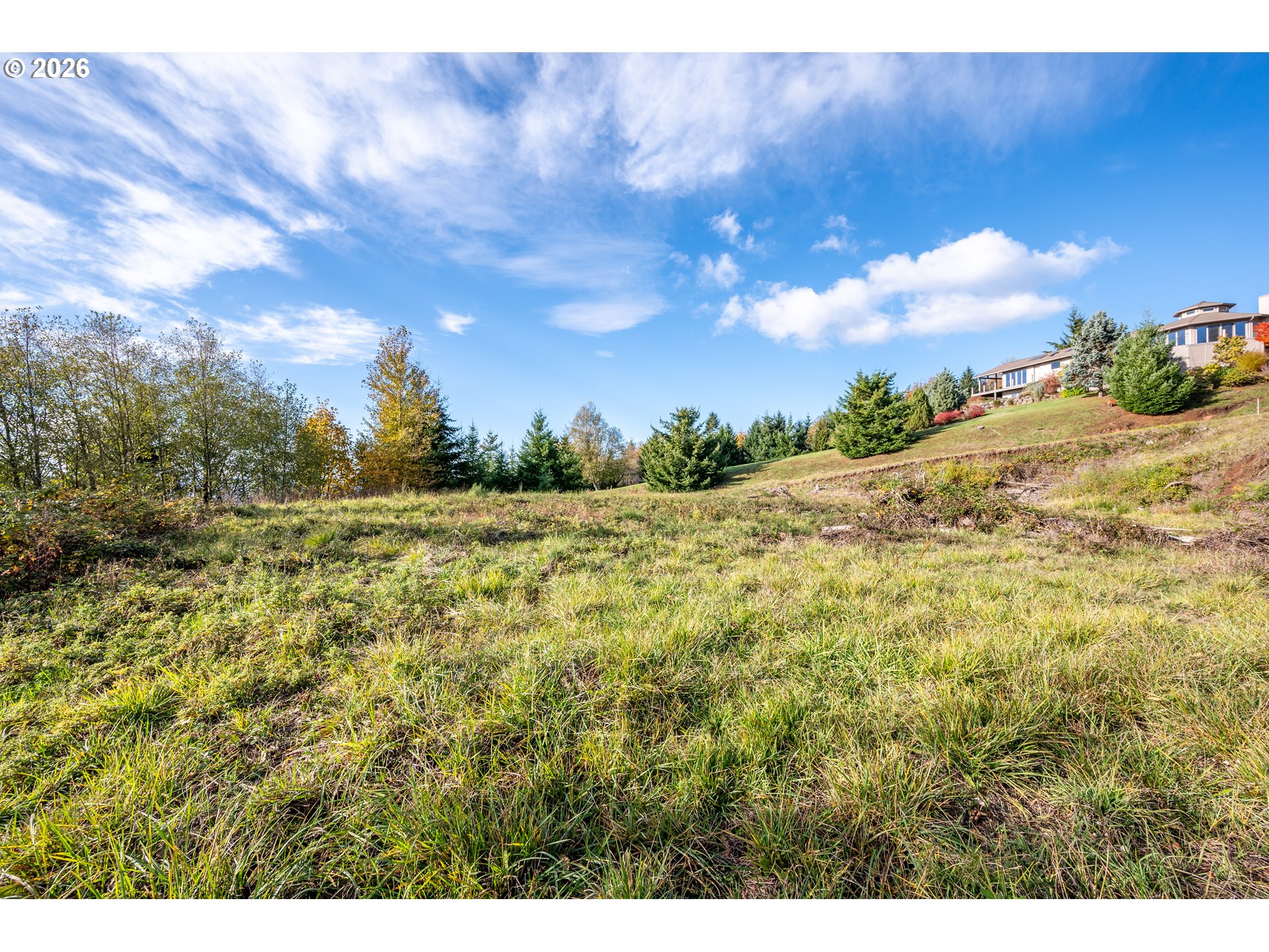 560 Varsity Road Kalama, WA 98625 - Photo 20 of 22 a view of a yard with an outdoor space