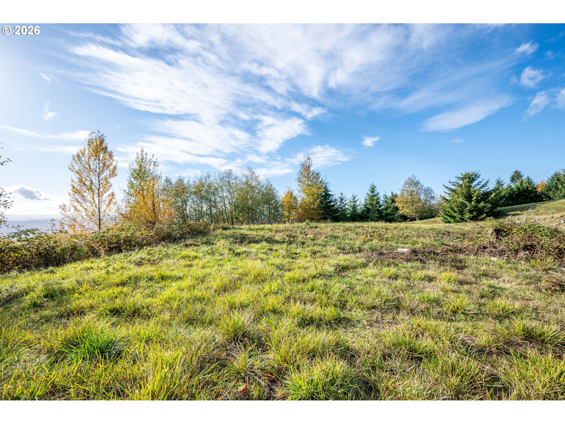 560 Varsity Road Kalama, WA 98625 - Photo 21 of 22 a view of a field