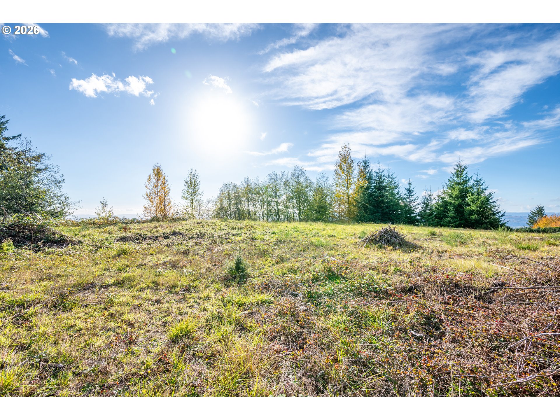 560 Varsity Road Kalama, WA 98625 - Photo 22 of 22 a view of large trees and sky view