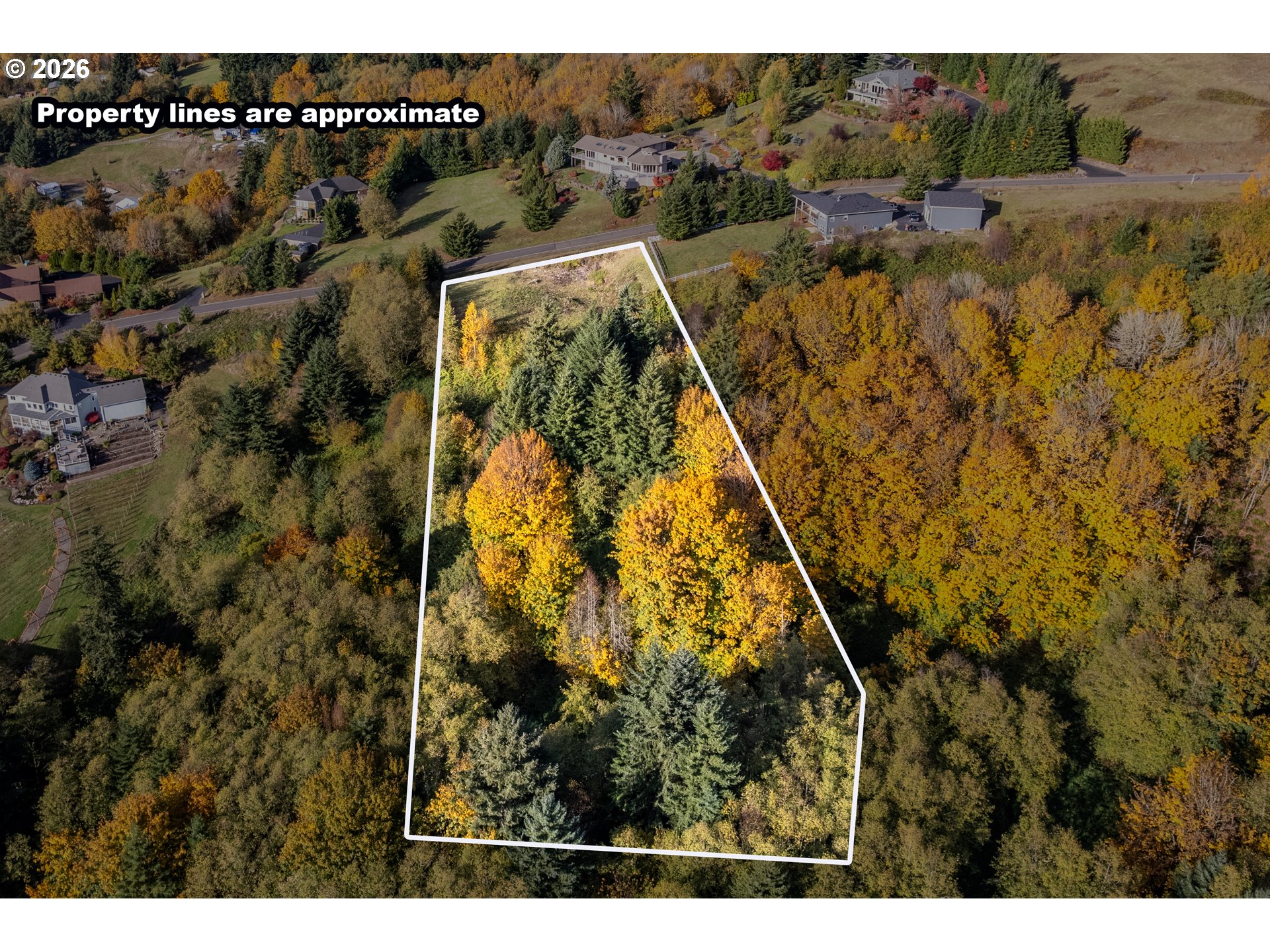 560 Varsity Road Kalama, WA 98625 - Photo 6 of 22 a view of a yard