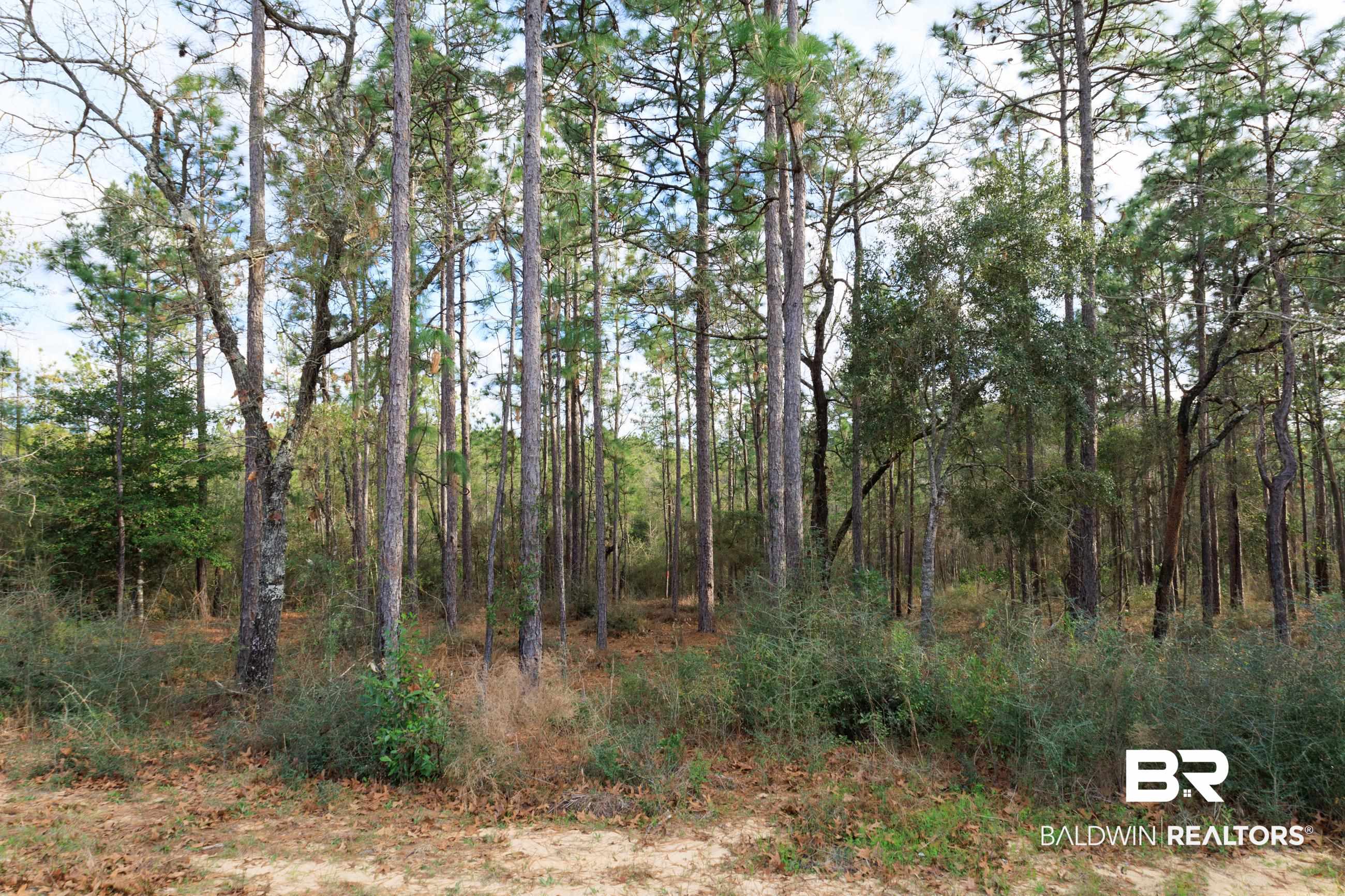 0 Bromley Road Daphne, AL 36527 - Photo 6 of 16