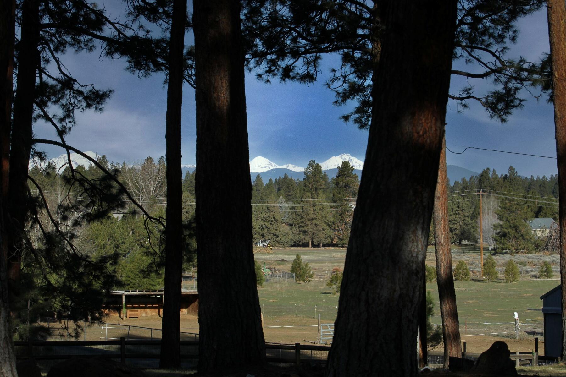 60405 Tekampe Road Bend, OR 97702 - Photo 4 of 51 batch_T04