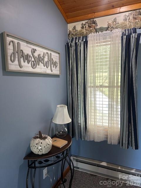 918 Plott Balsam Road Maggie Valley, NC 28751 - Photo 28 of 30