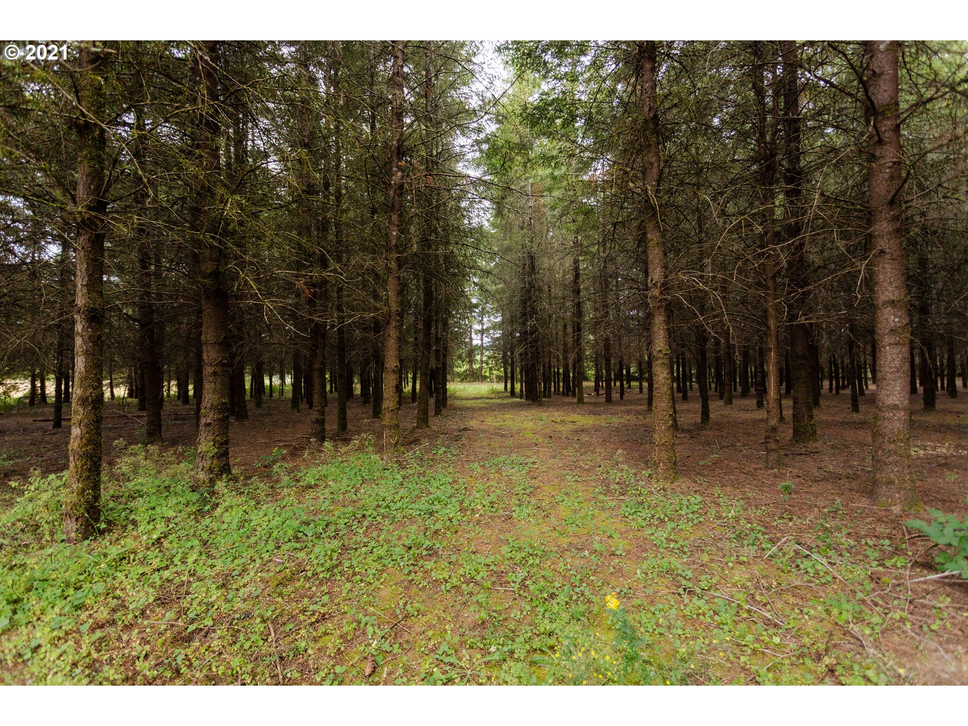 30187 Southeast Farmstead Road Eagle Creek, OR 97022 - Photo 29 of 31 Gallery Image 29