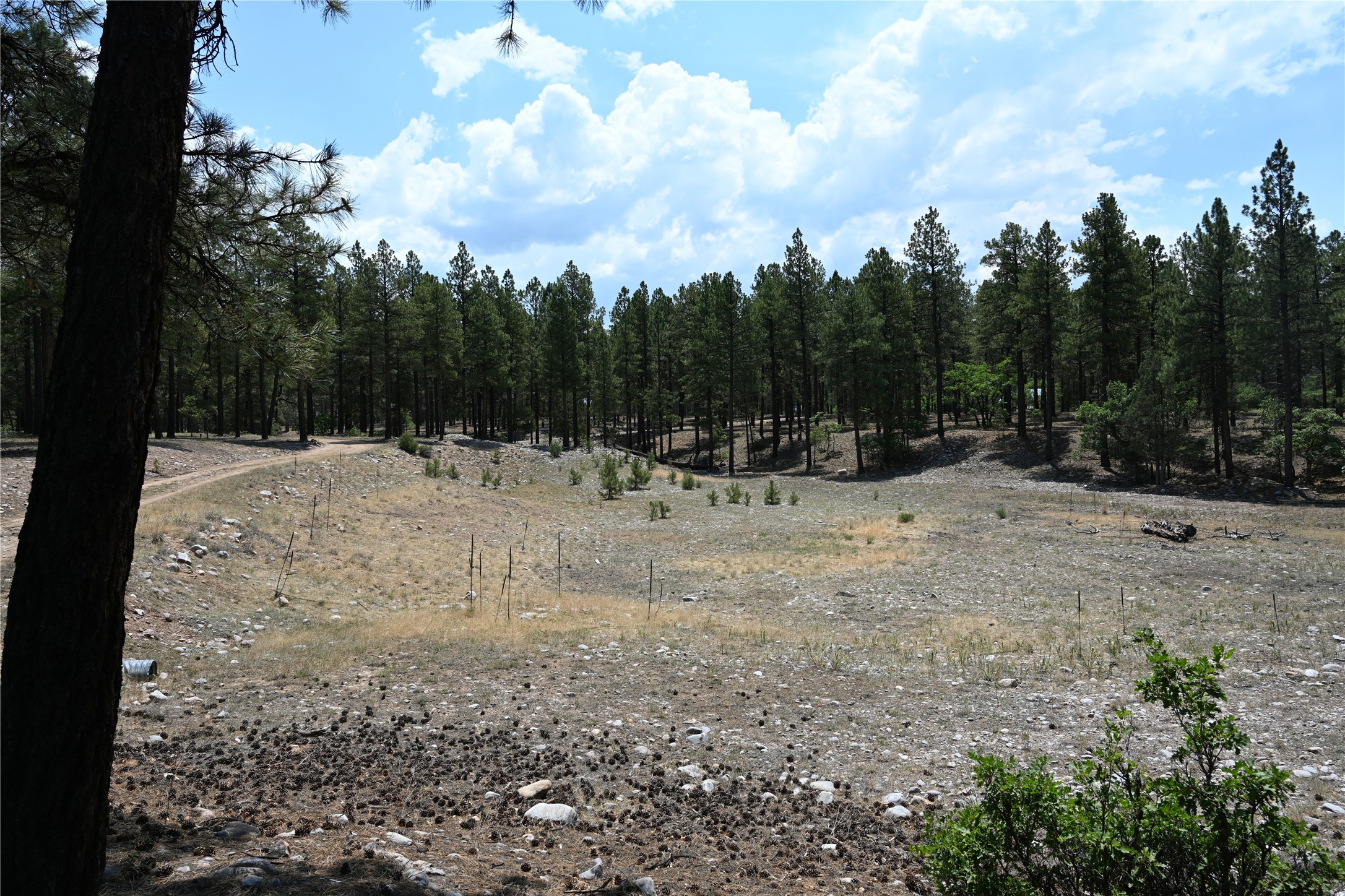 0 The Forks Road Chama, NM 87520 - Photo 10 of 25 Gallery Image 10