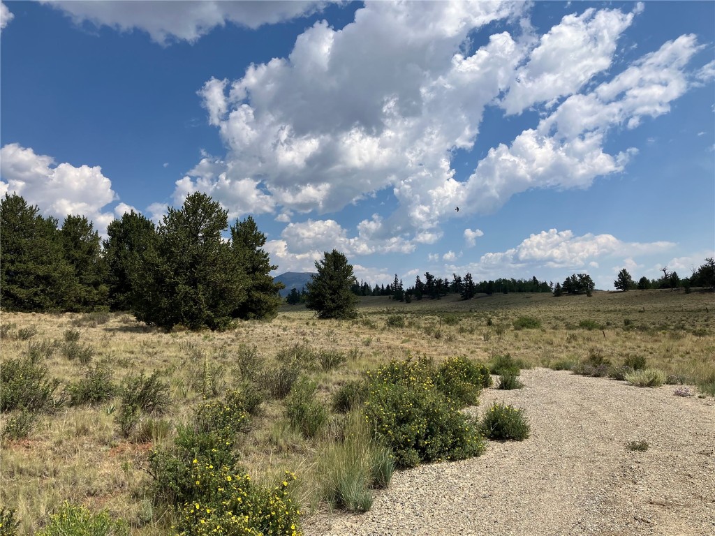 1344 Silver Heels Road Fairplay, CO 80440 - Photo 17 of 35