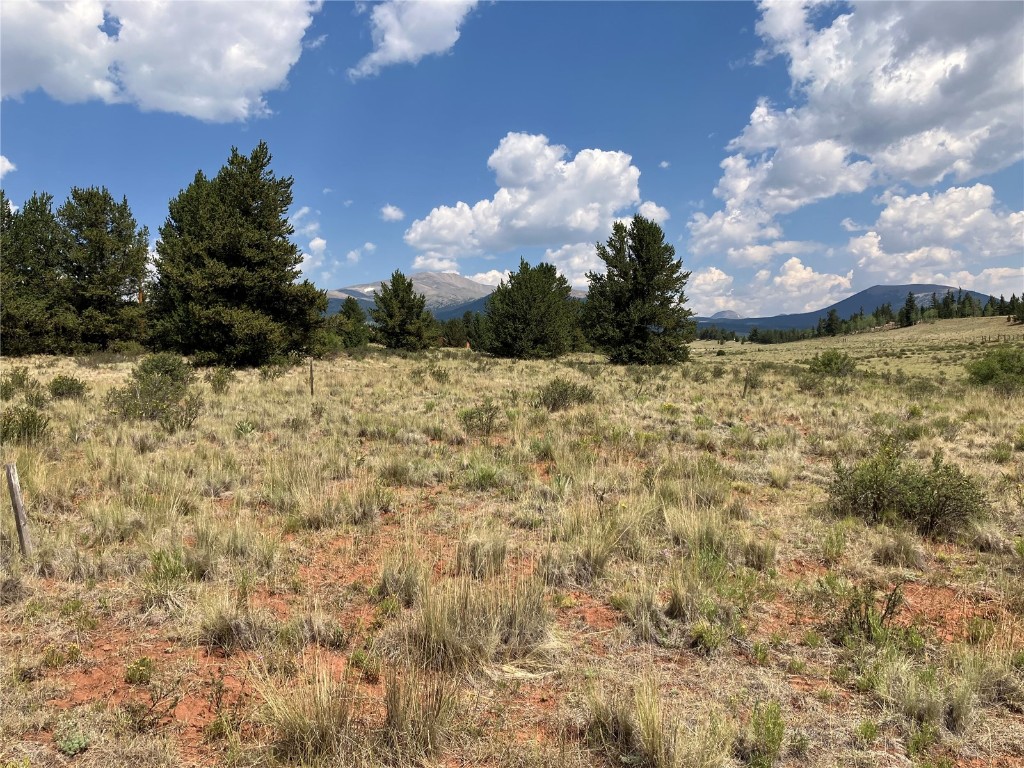1344 Silver Heels Road Fairplay, CO 80440 - Photo 18 of 35 Potential build site, tucked behind the native evergreens.
