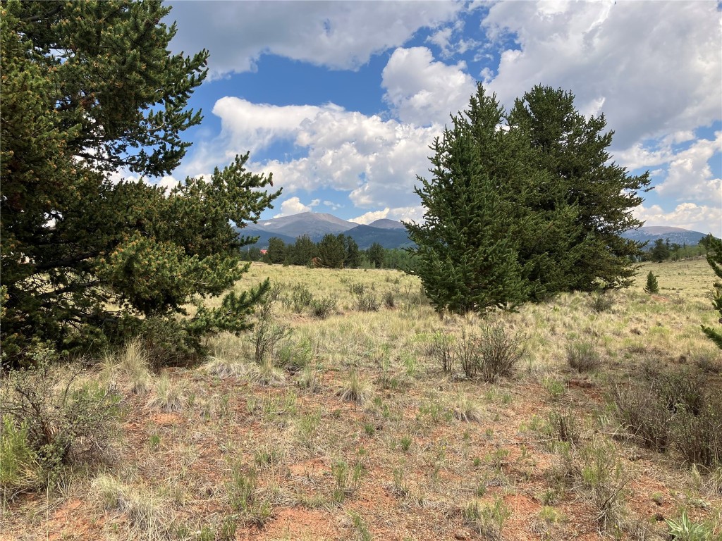 1344 Silver Heels Road Fairplay, CO 80440 - Photo 23 of 35