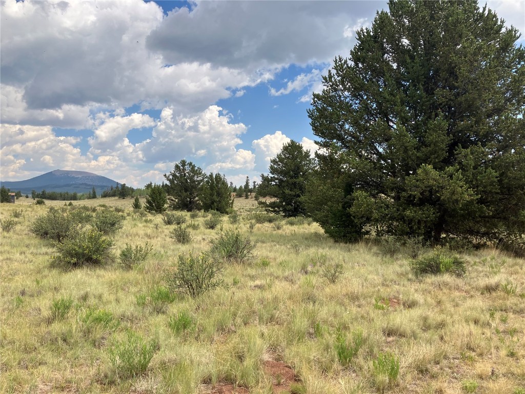 1344 Silver Heels Road Fairplay, CO 80440 - Photo 24 of 35 Beautiful site with native grasses, wildflowers and trees.