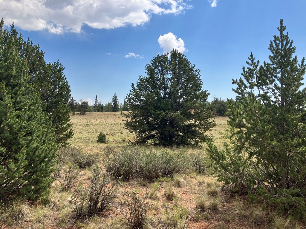 1344 Silver Heels Road Fairplay, CO 80440 - Photo 28 of 35 Plenty of native grasses already exist and irrigation options are available for more gardening, landscaping and/or water for animal