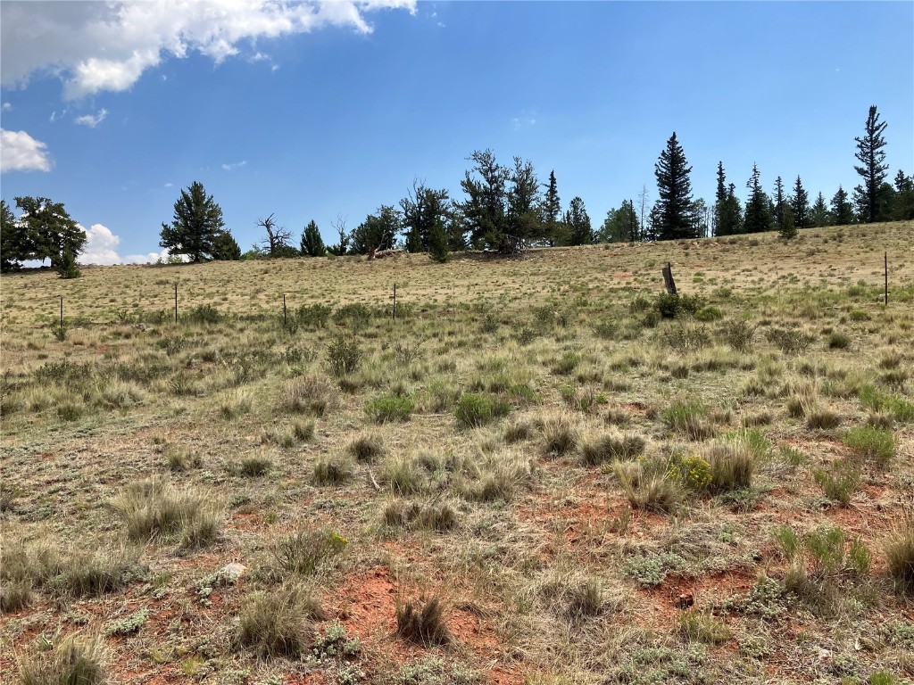 1344 Silver Heels Road Fairplay, CO 80440 - Photo 29 of 35 Barbed Wire fencing exists on the adjacent lot, near the back edge of this property. There are stakes lining the perimeter of the property on the adjacent lot to the South edge.
