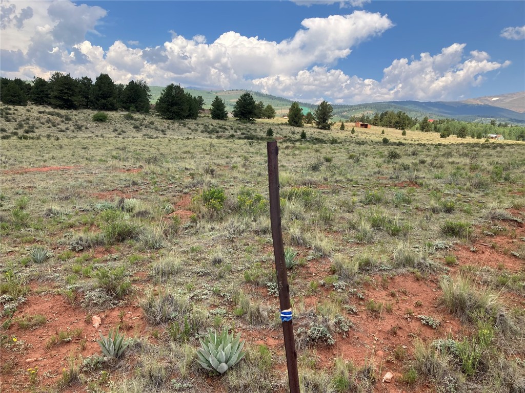 1344 Silver Heels Road Fairplay, CO 80440 - Photo 30 of 35 The property is already staked and pinned on all four corners.