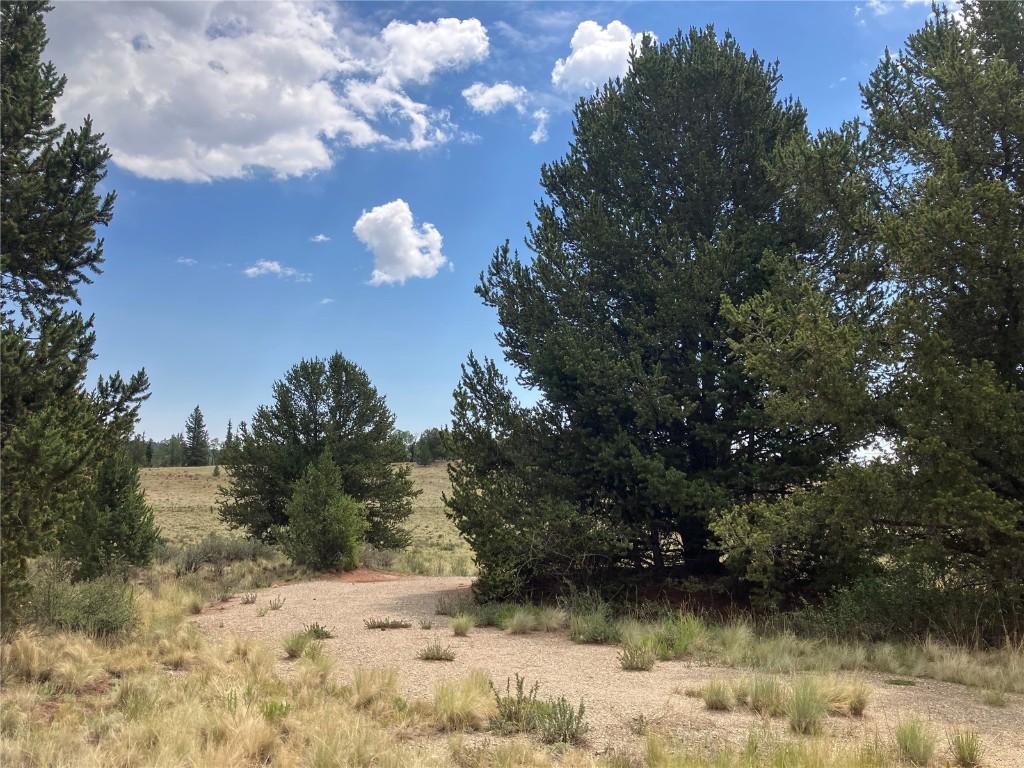 1344 Silver Heels Road Fairplay, CO 80440 - Photo 34 of 35 A preliminary driveway meanders through the quiet and privacy of the trees