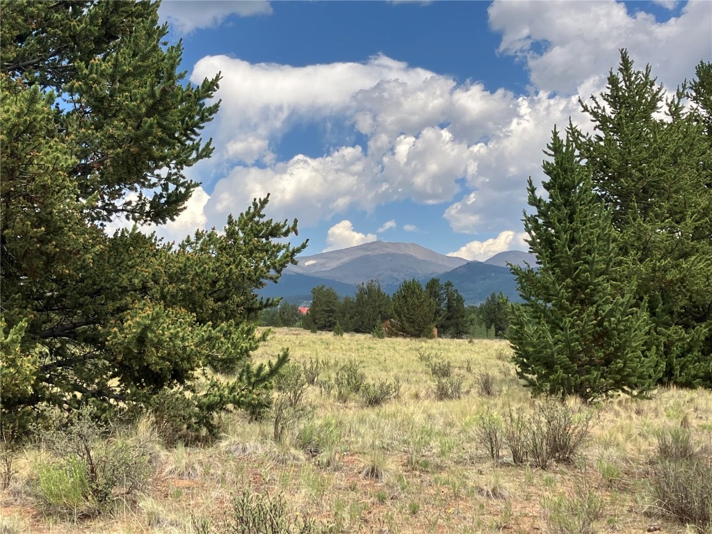 1344 Silver Heels Road Fairplay, CO 80440 - Photo 4 of 35 Mount Silverheels holds a prominent view from the grounds to the tree tops
