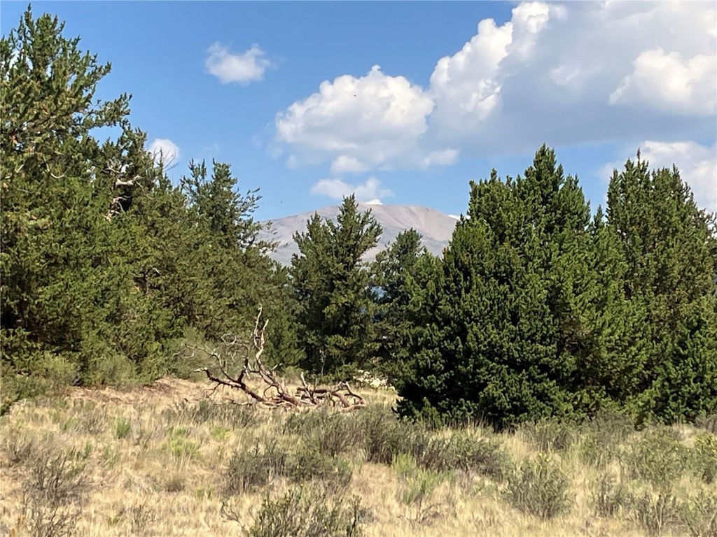 1344 Silver Heels Road Fairplay, CO 80440 - Photo 9 of 35 Fantastic views of Mount Silverheels on-site