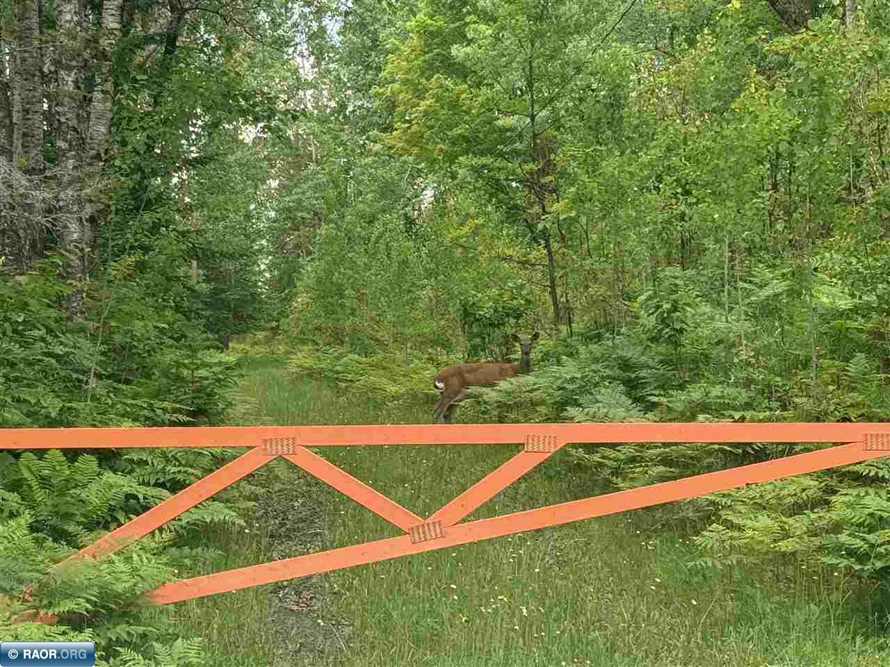 2647 Billings Road Hibbing, MN 55746 - Photo 35 of 37