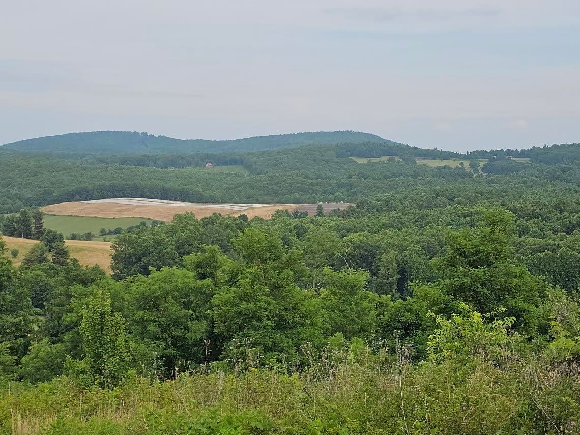 700 Fairview Church Road Southwest Floyd, VA 24091 - Photo 2 of 8 Gallery Image 2