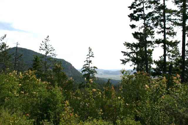 0 United Copper Mine Road Chewelah, WA 99109 - Photo 1 of 8 Gallery Image 1