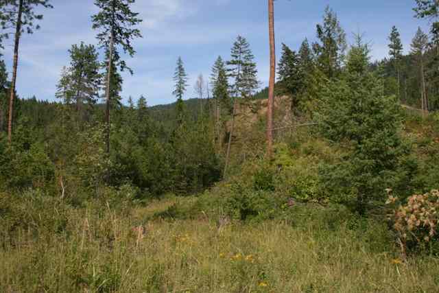 0 United Copper Mine Road Chewelah, WA 99109 - Photo 2 of 8 Gallery Image 2