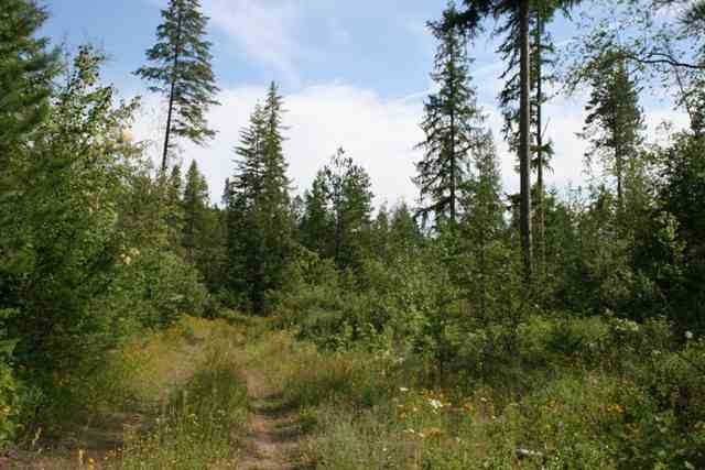 0 United Copper Mine Road Chewelah, WA 99109 - Photo 4 of 8 Gallery Image 4