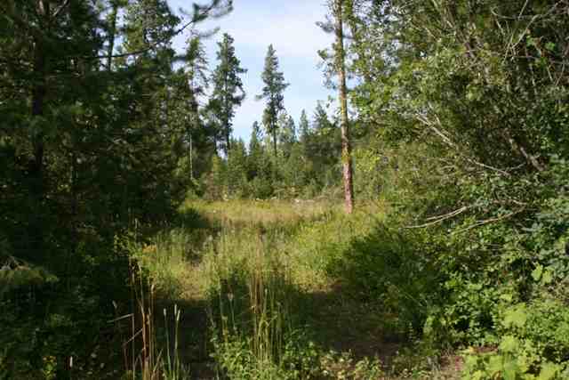 0 United Copper Mine Road Chewelah, WA 99109 - Photo 5 of 8 Gallery Image 5
