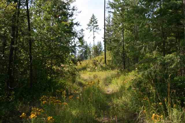 0 United Copper Mine Road Chewelah, WA 99109 - Photo 6 of 8 Gallery Image 6
