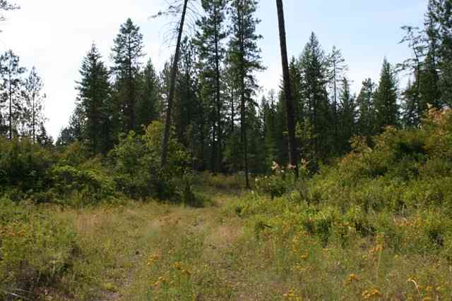 0 United Copper Mine Road Chewelah, WA 99109 - Photo 7 of 8 Gallery Image 7