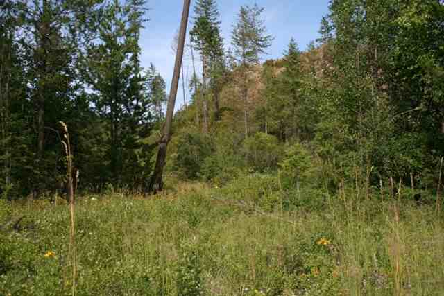 0 United Copper Mine Road Chewelah, WA 99109 - Photo 8 of 8 Gallery Image 8