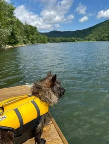 $599,000 | 1583 Vermont Rte 100, Plymouth, VT 05056